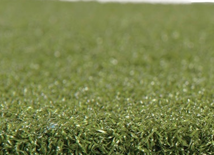 Picture of Speed & Agility Turf