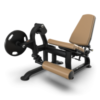 TRUE Fitness' Leg Extension