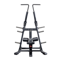 Flight Series Plate Loaded Lat Pull-Down